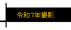 £ǯ