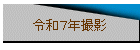 £ǯ